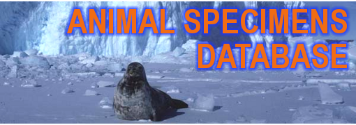 Database of Animal Speciments